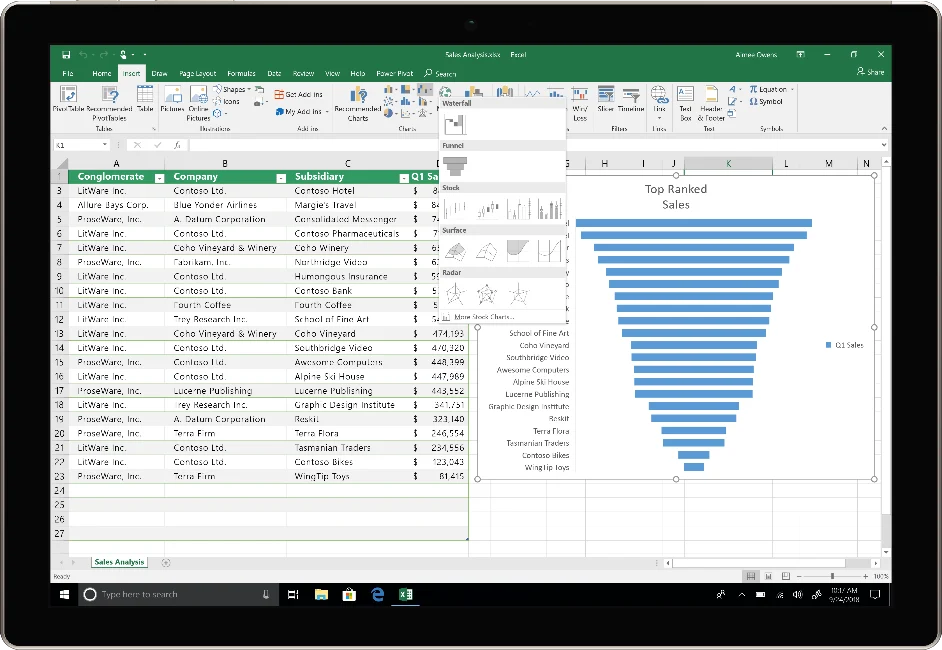 MS Office Pro plus