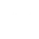  MS Windows 10